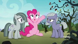 Size: 1920x1080 | Tagged: safe, screencap, limestone pie, marble pie, pinkie pie, earth pony, pony, g4, the maud couple, discovery family logo, female, mare, pie sisters, siblings, sisters