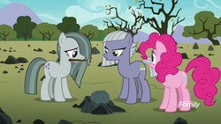 Size: 1920x1080 | Tagged: safe, screencap, limestone pie, marble pie, pinkie pie, earth pony, pony, g4, the maud couple, discovery family logo, female, mare, pie sisters, siblings, sisters, trio
