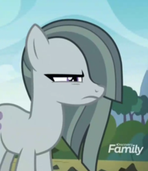 Size: 521x603 | Tagged: safe, screencap, marble pie, earth pony, pony, g4, the maud couple, angry, cropped, cute, female, frown, glare, marble pie is not amused, mare, narrowed eyes, solo, unamused