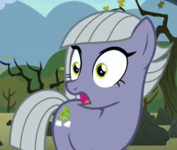 Size: 802x676 | Tagged: safe, screencap, limestone pie, earth pony, pony, g4, the maud couple, cropped, female, open mouth, solo, wide eyes