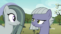 Size: 1920x1080 | Tagged: safe, screencap, limestone pie, marble pie, earth pony, pony, g4, the maud couple, bedroom eyes, discovery family logo, duo, female, out of context, sisters