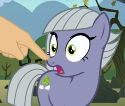 Size: 802x676 | Tagged: safe, edit, screencap, limestone pie, earth pony, pony, g4, the maud couple, boop, boop edit, discovery family logo, female, mare, surprised
