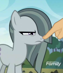 Size: 521x603 | Tagged: safe, edit, edited screencap, screencap, marble pie, earth pony, pony, g4, the maud couple, boop, boop edit, cute, finger, hand, marble pie is not amused, non-consensual booping