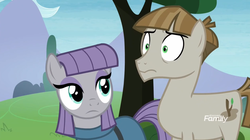 Size: 1066x598 | Tagged: safe, screencap, maud pie, mudbriar, g4, the maud couple