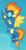 Size: 664x1267 | Tagged: safe, spitfire, pegasus, pony, g4, season 8, clothes, intro, salute, show accurate, theme song, uniform, wonderbolts uniform