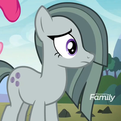Size: 484x484 | Tagged: safe, screencap, marble pie, earth pony, pony, g4, the maud couple, cropped, discovery family logo, female, mare, solo focus
