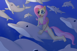 Size: 5243x3495 | Tagged: safe, artist:sergeant16bit, fluttershy, dolphin, pegasus, anthro, g4, animal, belly button, bikini, breasts, clothes, female, ocean, riding, solo, swimsuit, underwater, watershy