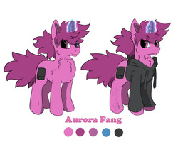 Size: 1280x1024 | Tagged: safe, artist:aurorafang, oc, oc:aurorafang, pony, unicorn, clothes, drawing tablet, fluffy, heterochromia, jacket, male, reference sheet, stallion