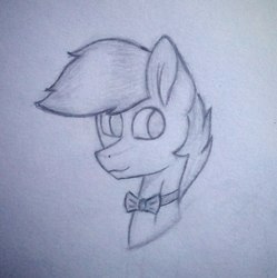 Size: 1077x1080 | Tagged: safe, artist:nickel, oc, oc only, oc:shining glow, pegasus, pony, bowtie, bust, head, male, monochrome, pegasus oc, portrait, simple background, solo, traditional art