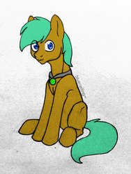 Size: 1620x2160 | Tagged: safe, artist:blueceiling∞, edit, oc, oc only, oc:sperens, earth pony, pony, blue eyes, jewelry, male, simple background, solo, stallion