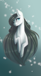 Size: 1356x2492 | Tagged: safe, artist:huayan, oc, oc only, pony, female, mare, solo