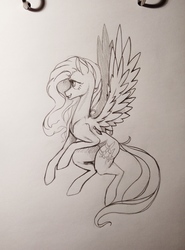 Size: 3104x4192 | Tagged: safe, artist:skrapbox, fluttershy, pegasus, pony, g4, female, flying, grayscale, looking away, looking up, mare, monochrome, pencil drawing, profile, simple background, sketch, solo, spread wings, traditional art, white background, wings