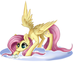 Size: 1237x1053 | Tagged: safe, artist:woonborg, fluttershy, pegasus, pony, g4, cheek fluff, ear fluff, female, flower, looking at something, looking down, mare, signature, simple background, smiling, snow, snowdrop (flower), solo, spread wings, standing, transparent background, wings, winter