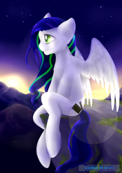 Size: 3507x4960 | Tagged: safe, artist:tokokami, oc, oc only, pony, solo, sunrise