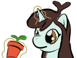 Size: 840x640 | Tagged: safe, artist:phat_guy, derpibooru exclusive, sprout greenhoof, pony, unicorn, g4, bust, female, flower pot, glowing horn, horn, las pegasus resident, levitation, looking at something, magic, mare, plant, portrait, potted plant, simple background, solo, sprout, telekinesis, terracotta, white background