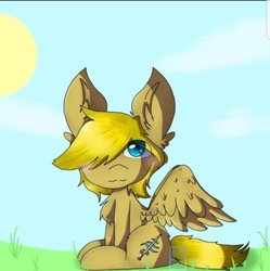 Size: 1434x1442 | Tagged: safe, artist:phatom reaper, oc, oc only, oc:winds (old version), pegasus, pony, sitting, solo