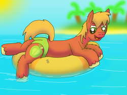 Size: 4032x3024 | Tagged: safe, artist:tacomytaco, big macintosh, earth pony, pony, g4, clothes, dock, inner tube, male, solo, speedo, swimsuit, tail, water