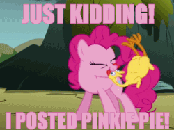 Size: 428x320 | Tagged: safe, edit, edited screencap, screencap, pinkie pie, earth pony, pony, dragonshy, g4, animated, artifact, eyes closed, female, gif, image macro, meme, mouth hold, rubber chicken, solo
