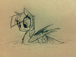Size: 2048x1530 | Tagged: safe, anonymous artist, artist:anonymous, twilight sparkle, alicorn, pony, g4, 4chan, chest fluff, drawthread, female, grayscale, mare, monochrome, pegaduck, solo, swimming, traditional art, twilight sparkle (alicorn), water, wings