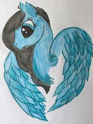 Size: 900x1200 | Tagged: safe, artist:ice-star-pony, oc, oc only, oc:tradewinds, pegasus, pony, fanfic:the night is passing, blue eyes, bust, chest fluff, colored feathertips, doodle, ear piercing, earring, fanfic, fanfic art, female, fluffy, jewelry, link in description, mare, piercing, solo, traditional art, undercut, wing fluff, wings