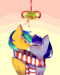 Size: 2000x2500 | Tagged: safe, artist:yuozka, oc, oc only, oc:sky, animated, blushing, clothes, female, high res, holly, holly mistaken for mistletoe, male, mare, oc x oc, scarf, shared clothing, shared scarf, shipping, stallion, straight, tongue out, ych result