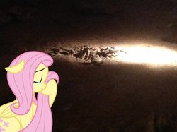 Size: 1024x765 | Tagged: safe, artist:didgereethebrony, fluttershy, pegasus, pony, wombat, g4, bone, cave, crying, female, jenolan caves, mare, mlp in australia, skeleton, solo