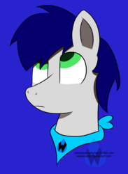 Size: 2293x3126 | Tagged: safe, artist:waterboy597, oc, oc only, oc:waterpony, pony, bust, high res, portrait, simple background