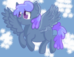 Size: 1800x1400 | Tagged: safe, artist:rainbowtashie, blueberry punch, pegasus, pony, g4, background pony, cloud, simple background, sky, solo