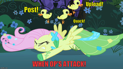 Size: 888x499 | Tagged: safe, edit, edited screencap, screencap, fluttershy, g4, the best night ever, clothes, dress, duckling, gala dress, image macro, imgflip, meme, op is a duck, op is trying to start shit