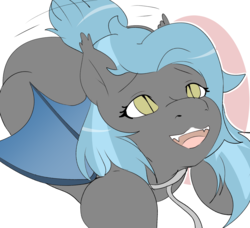 Size: 1851x1685 | Tagged: dead source, safe, artist:skyearts, oc, oc only, oc:night pedal, bat pony, pony, bat pony oc, behaving like a dog, female, leash, looking up, mare, simple background, solo, tail wiggle