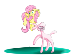 Size: 2000x1500 | Tagged: safe, artist:aaservantsheartuniverse, artist:heartbeat420, fluttershy, pom (tfh), lamb, pegasus, pony, sheep, them's fightin' herds, g4, community related, crossover, duo, female, mare, missing accessory, simple background, transparent background