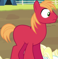 Size: 403x408 | Tagged: safe, edit, edited screencap, screencap, big macintosh, earth pony, pony, brotherhooves social, g4, accessory-less edit, cropped, male, missing accessory, missing cutie mark, solo, stallion