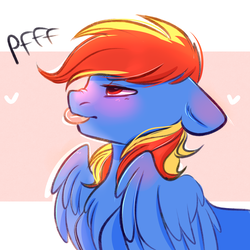 Size: 3000x3000 | Tagged: safe, artist:pesty_skillengton, oc, oc only, oc:draco flames, pegasus, pony, blushing, cute, high res, male, solo, stallion, tongue out