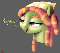 Size: 978x867 | Tagged: safe, artist:starkdust, tree hugger, earth pony, pony, g4, bust, female, lidded eyes, portrait, simple background, smiling, solo