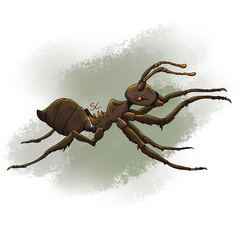 Size: 2000x2000 | Tagged: safe, artist:sourcherry, ant, insect, fallout equestria, ambiguous gender, animal, giant ant, high res, mutant manual, solo
