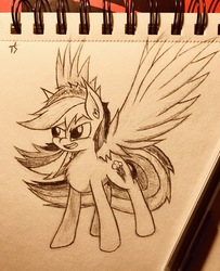 Size: 2981x3678 | Tagged: safe, artist:thesubtle, rainbow dash, pony, g4, female, high res, monochrome, solo, traditional art