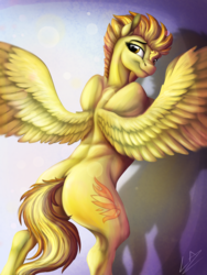 Size: 3000x4000 | Tagged: safe, artist:lupiarts, spitfire, pegasus, pony, g4, athlete, butt, female, high res, lidded eyes, looking back, mare, plot, shadow, signature, solo