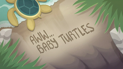 Size: 1920x1080 | Tagged: safe, screencap, turtle, aww... baby turtles, equestria girls, g4, my little pony equestria girls: better together, baby turtle, no pony, sea turtle, title card