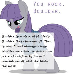 Size: 590x600 | Tagged: safe, artist:emkay-mlp, boulder (g4), maud pie, earth pony, pony, g4, female, headcanon, holder's boulder, simple background, solo, vector, white background