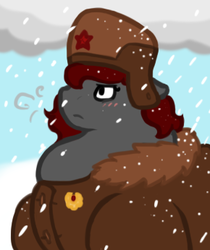 Size: 290x346 | Tagged: safe, artist:queenfrau, oc, oc only, oc:queen frau, pony, blizzard, chubby, clothes, coat, fat, hat, snow, snowfall, solo, soviet, soviet union, ushanka