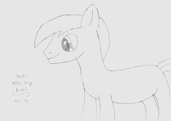 Size: 7015x4960 | Tagged: safe, artist:keksiarts, earth pony, pony, absurd resolution, doodle, male, practice, sketch, solo, stallion