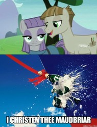 Size: 700x919 | Tagged: safe, edit, edited screencap, screencap, maud pie, mudbriar, earth pony, pony, g4, the maud couple, alcohol, breaking glass, champagne, christening, female, male, mare, ship:maudbriar, shipping, smiling, stallion, straight, when she smiles, wine