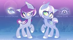 Size: 3000x1647 | Tagged: safe, artist:zombie, oc, oc:dream scape, oc:lucidia dreams, bat pony, duo