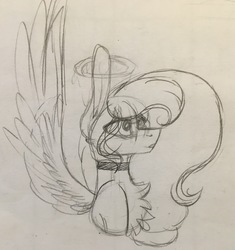 Size: 2835x3019 | Tagged: safe, artist:sweetmelon556, oc, oc only, oc:sweet melon, pegasus, pony, female, halo, high res, mare, monochrome, solo