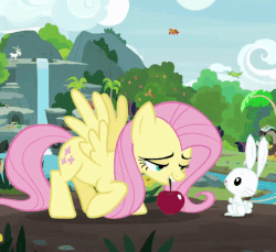 Size: 800x733 | Tagged: safe, screencap, angel bunny, constance, discord, fluttershy, bird, draconequus, giraffe, goat, pegasus, pony, rabbit, snake, g4, season 8, animated, apple, cropped, cute, eating, female, flying, food, hoof on cheek, intro, male, mare, messy eating, shyabetes, smiling, sucking, sunglasses, sweet feather sanctuary, tanning mirror