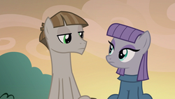 Size: 1920x1080 | Tagged: safe, screencap, maud pie, mudbriar, earth pony, pony, g4, the maud couple, clothes, duo, duo male and female, eye contact, female, looking at each other, male, ship:maudbriar, shipping, shirt, stallion, straight