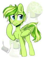Size: 3013x4000 | Tagged: safe, artist:oh no, oc, oc only, oc:lime zest, pegasus, pony, adorable face, big eyes, cute, male, solo, thinking