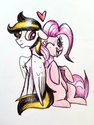 Size: 3024x4032 | Tagged: safe, artist:smirk, pinkie pie, oc, oc:fallout, pegasus, pony, g4, heart, male, request, sitting, stallion, traditional art