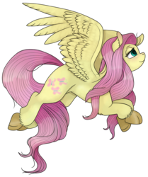 Size: 720x862 | Tagged: safe, artist:69beas, fluttershy, pegasus, pony, g4, simple background, transparent background, wings