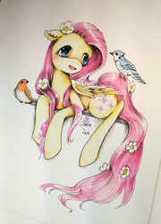 Size: 2304x3204 | Tagged: safe, artist:claire lixi, fluttershy, bird, blue jay, pegasus, pony, robin (bird), g4, blushing, cute, female, floppy ears, flower, flower in hair, flower in tail, folded wings, high res, looking at something, mare, open mouth, prone, shyabetes, traditional art